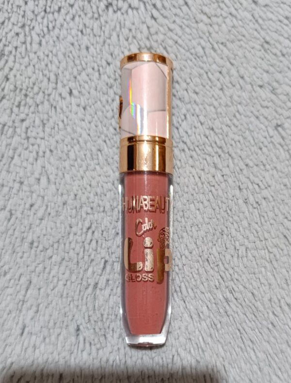 Labial mate gloss HUXIA BEAUTY palo de rosa